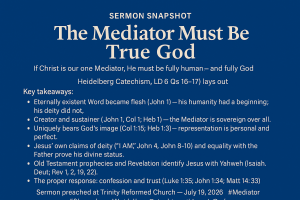 The Mediator Must Be True God